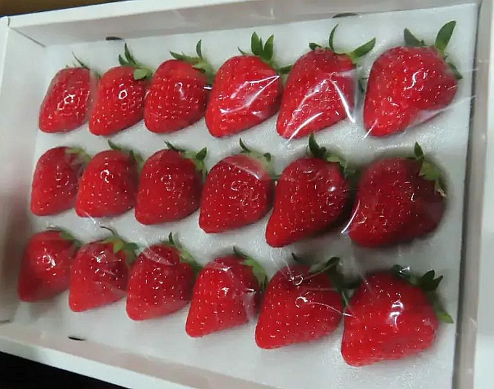 日本進口「鮮草莓」又爆農藥殘留超標，食藥署依規定退運銷毀。（圖：食藥署提供）