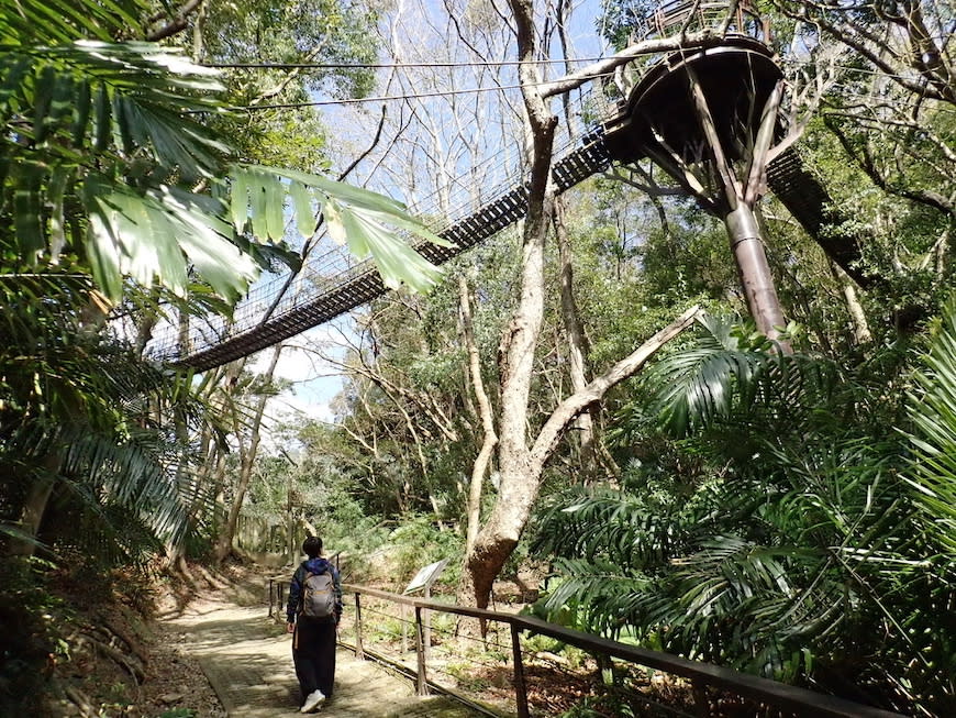 桃園巴陵古道生態園區