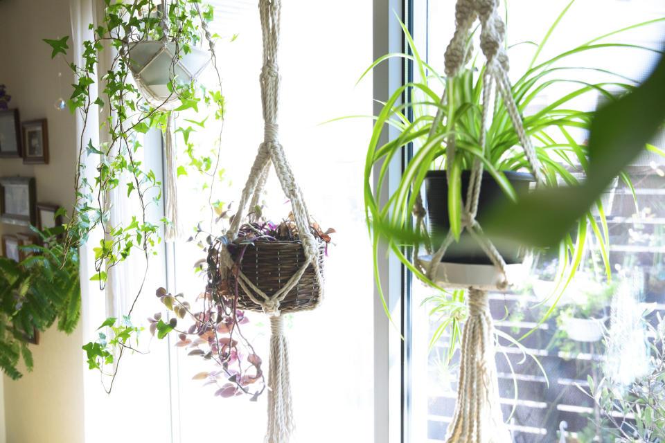 Macrame planters