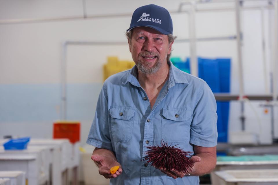 David Rudie, president of Catalina Offshore Products, holds a fresh piece of uni and a sea urchin in his warehouse in San Diego.