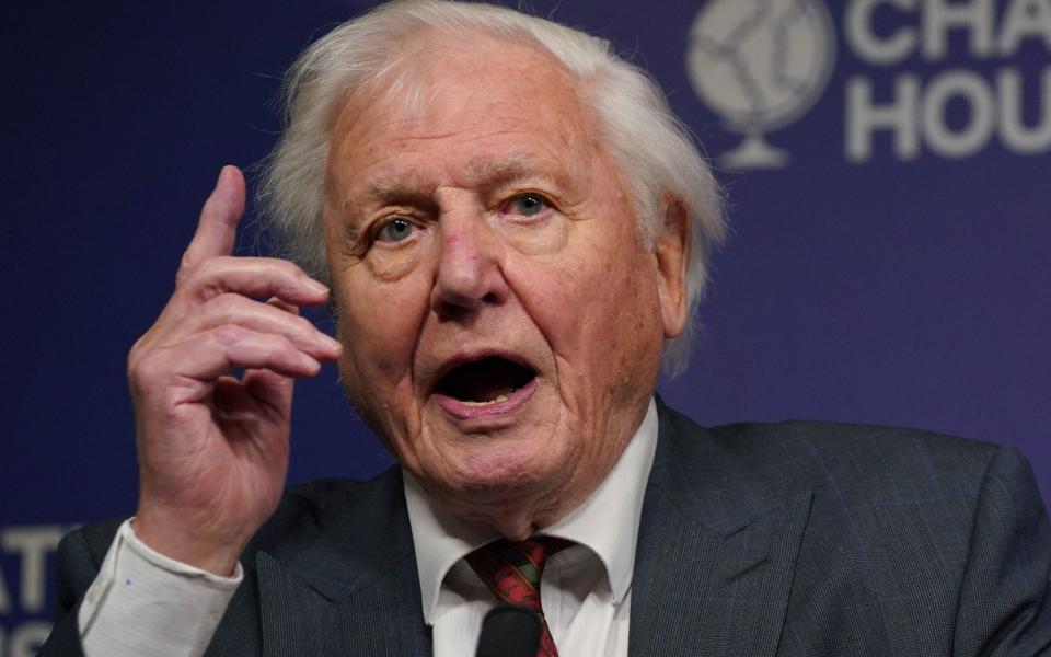 David Attenborough sends warning to leaders ahead of Cop26 - Yui Mok/PA