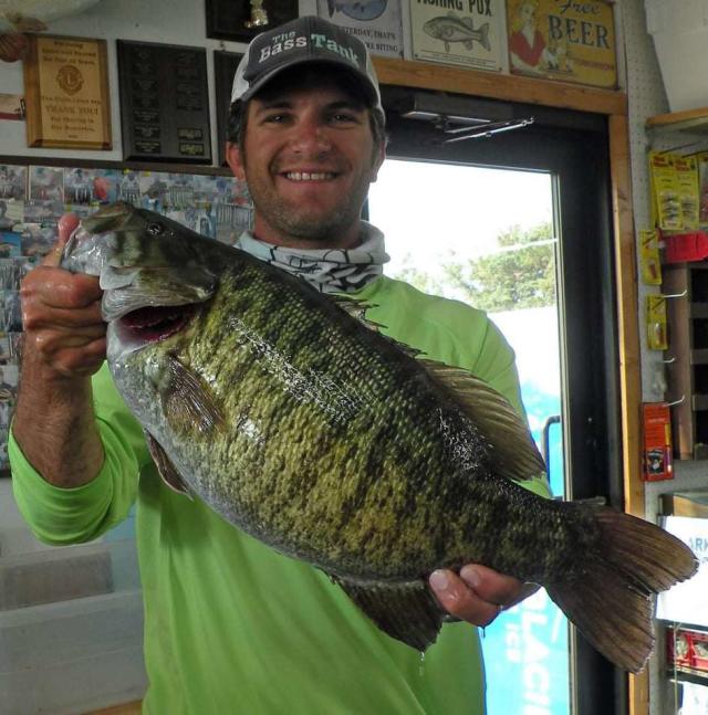 Giant Scamp Just a Pound Off the State Record