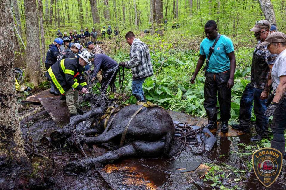 <p>Lebanon Volunteer Fire Department Inc./Facebook</p> First responders saving a pair of horses stuck in mud in Connecticut