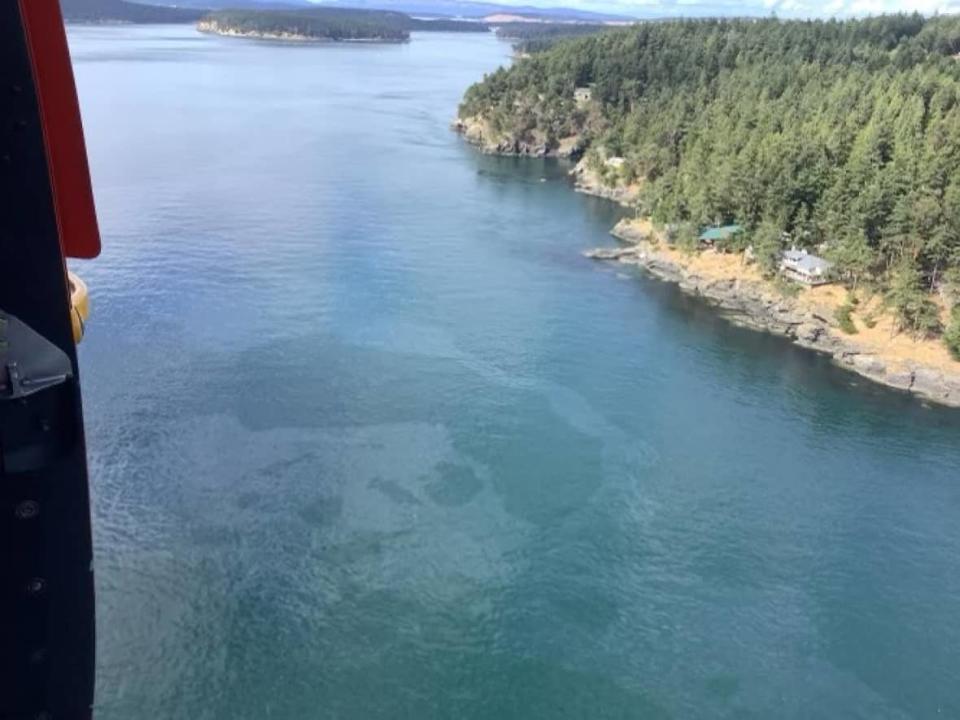 An oil slick is seen on the water near San Juan Island, Wash., on Saturday. Authorities say a boat went down with thousands of litres of oil onboard, releasing pollutants. (U.S. Coast Guard - image credit)