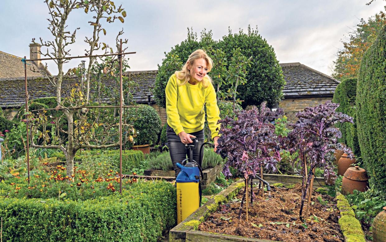 why winter is the best time to experiment in the garden how to cold weather uk 2021 - Andrew Crowley