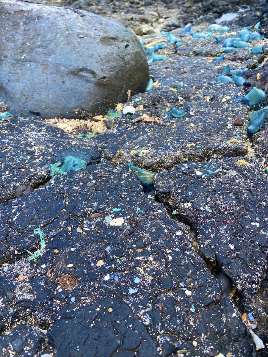 Tar balls combine with plastic to create 'plastitar' (Universidad de La Laguna) 