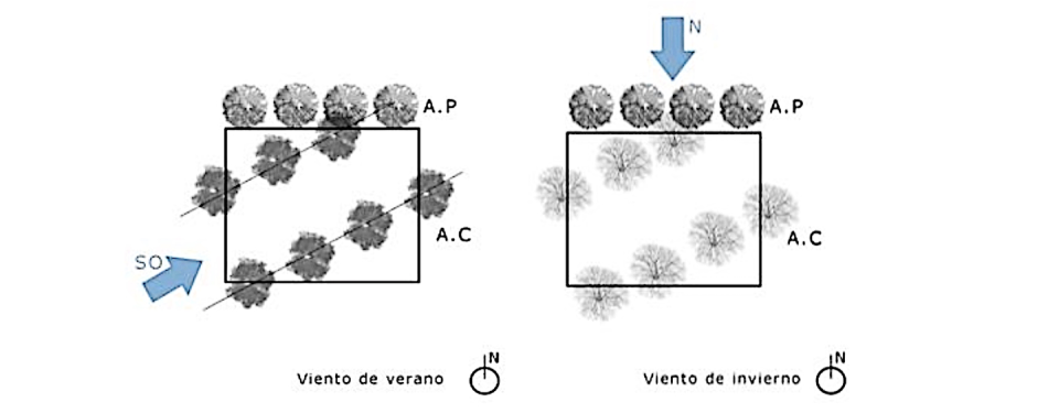 Estrategias de colocación de los arboles caducos en líneas de viento para configurar corredores de viento. Ester Higueras y Alicia Gómez, Author provided