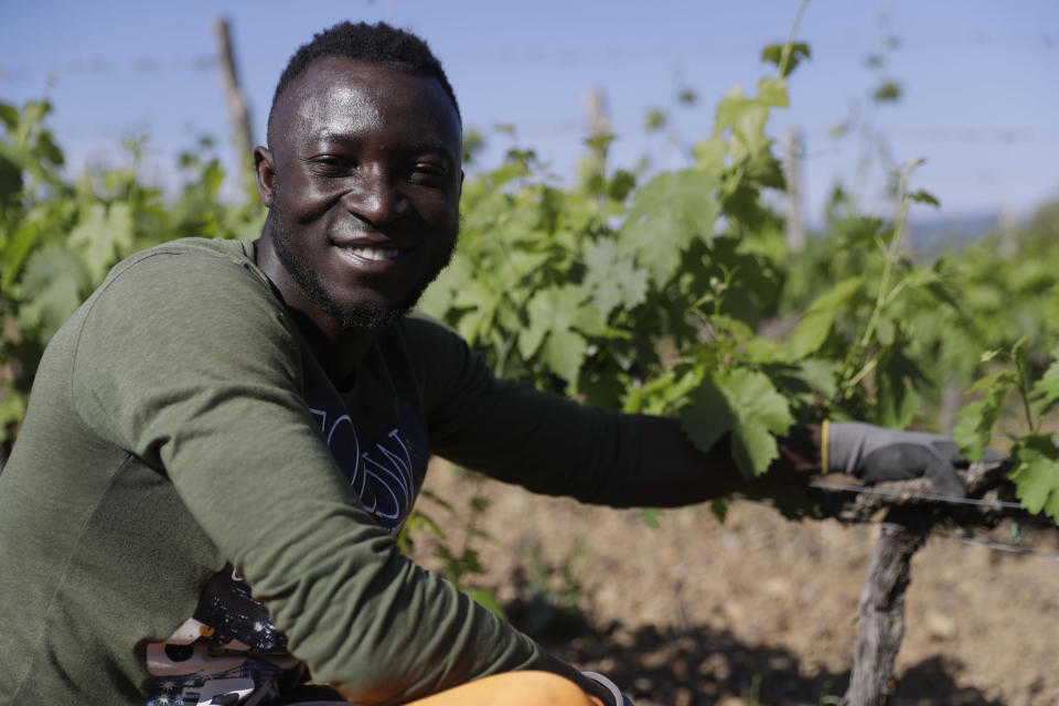 Abo Kouadjo Fulgence, 32 years-old, of Ivory Coast, poses for a picture at the Nardi vineyard in Casal del Bosco, Italy, Friday, May 28, 2021. It is a long way, and a risky one. But for this group of migrants at least it was worth the effort. They come from Ghana, Togo, Sierra Leone, Pakistan, Guinea Bissau, among other countries. They all crossed the Sahara desert, then from Libya the perilous Mediterranean Sea until they reached Italian shores, now they find hope working in the vineyards of Tuscany to make the renown Brunello wine. (AP Photo/Gregorio Borgia)