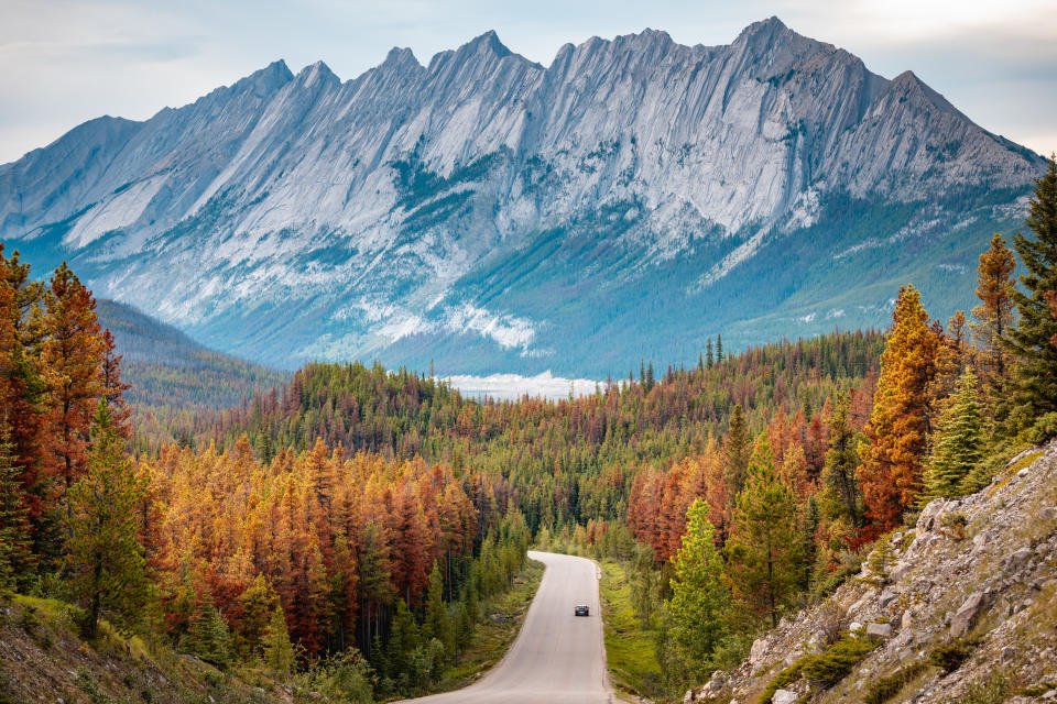 <div><p>"<b>We took the kids camping in both Banff and Jasper National Parks</b> and had an amazing time. There's much to see and do every day, and there are amazing hikes everywhere." </p><p>—<a href="https://www.buzzfeed.com/jodis4d616cdd9" rel="nofollow noopener" target="_blank" data-ylk="slk:jodis4d616cdd9;elm:context_link;itc:0;sec:content-canvas" class="link ">jodis4d616cdd9</a></p><p>If you need more convincing, here are <a href="https://www.buzzfeed.com/cylapanin/reasons-to-visit-the-canadian-rockies-this-summer" rel="nofollow noopener" target="_blank" data-ylk="slk:21 Reasons Why Everyone Should Visit The Canadian Rockies This Summer;elm:context_link;itc:0;sec:content-canvas" class="link ">21 Reasons Why Everyone Should Visit The Canadian Rockies This Summer</a>.</p></div><span> Francesco Riccardo Iacomino / Getty Images</span>