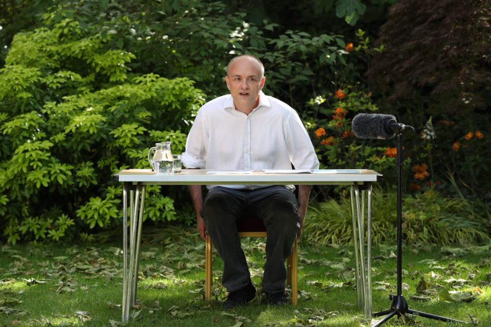Dominic Cummings speaks from the Downing Street Rose Garden on 25 May 2020 (AFP/Getty)