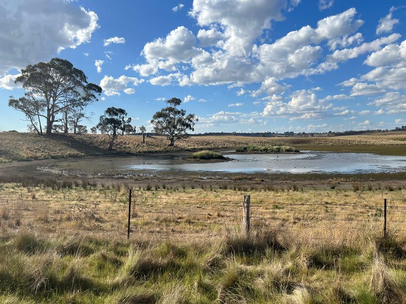 A depleted pool of water in a field near Bombala