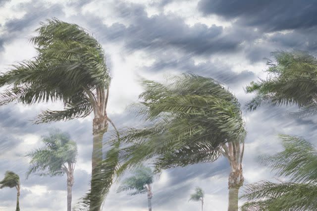 <p>Getty</p> A stock image of a tropical storm