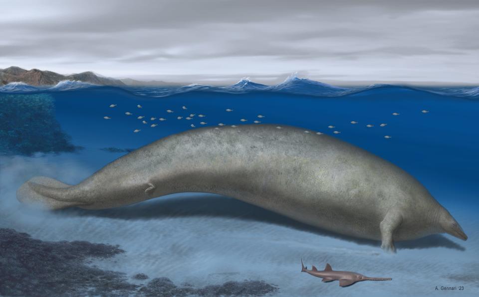 An artist's conception of the ancient whale Perucetus colossus in its coastal habitat.