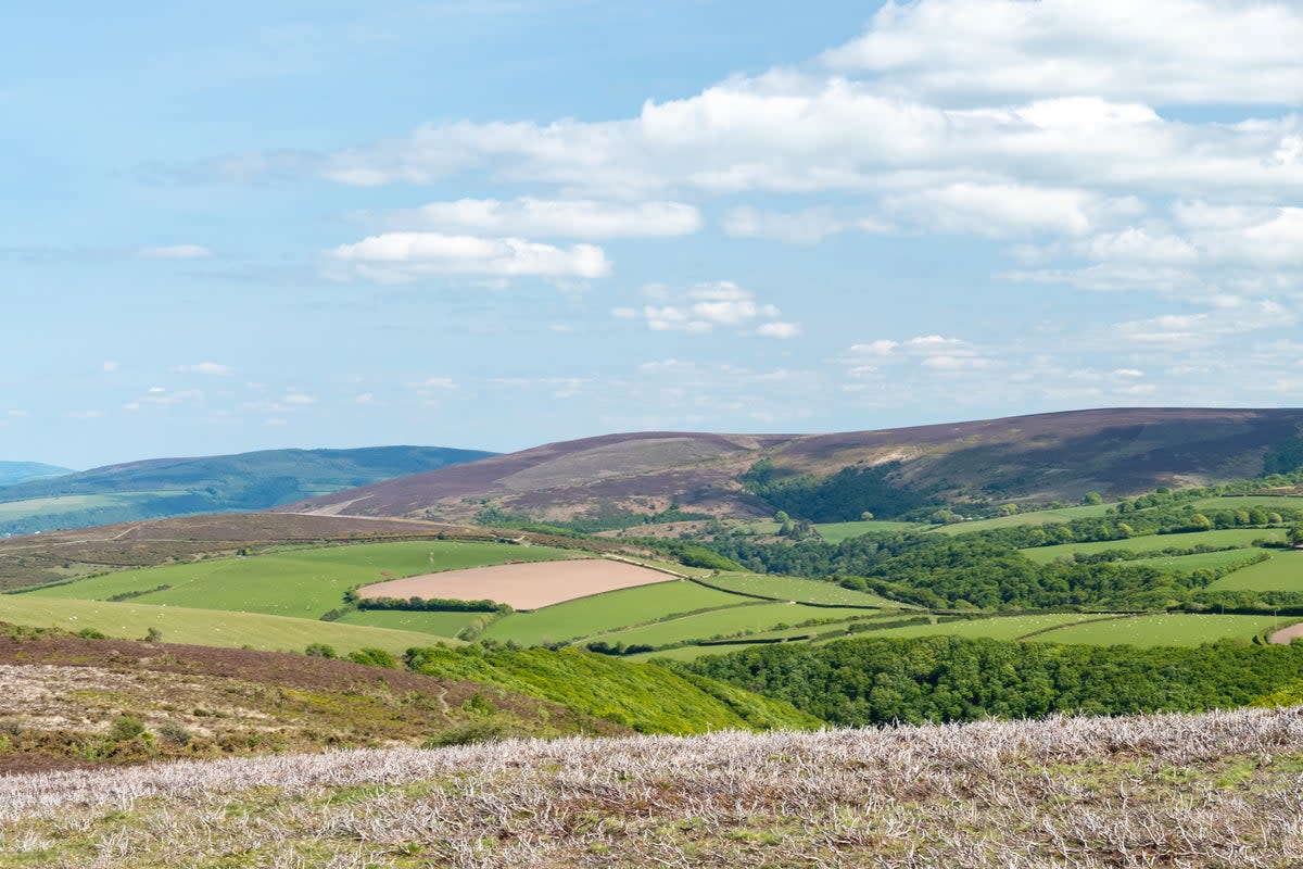 The view from Dunkery Beacon in Somerset, the highest point on Exmoor (Getty Images/iStockphoto)