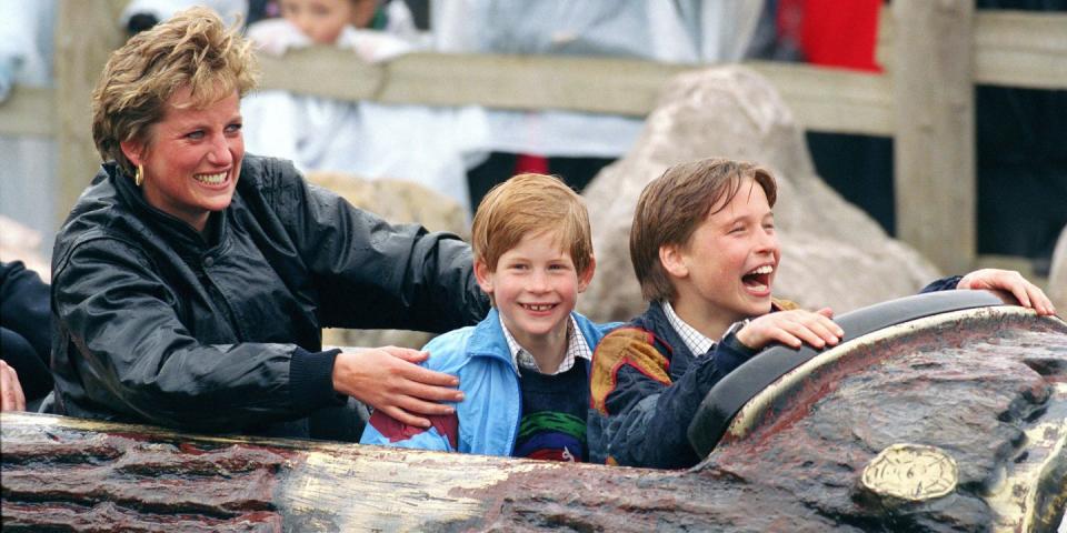 Princess Diana, Prince Harry, and Prince William