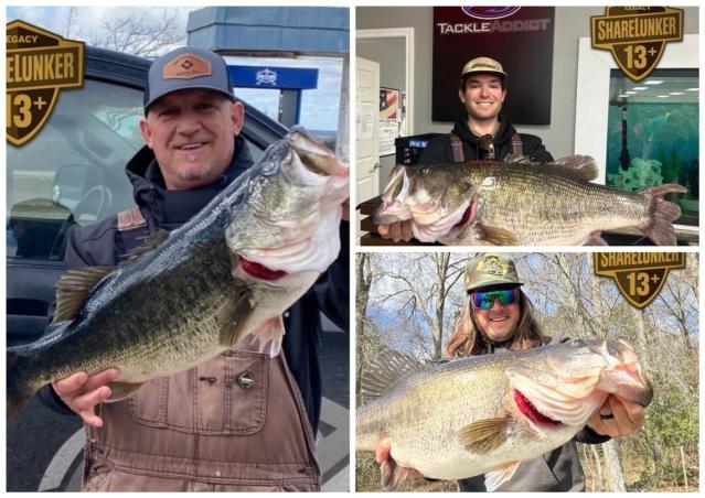 3 Texas Bass Fishermen Land 13-Pound Largemouths On The Same Day