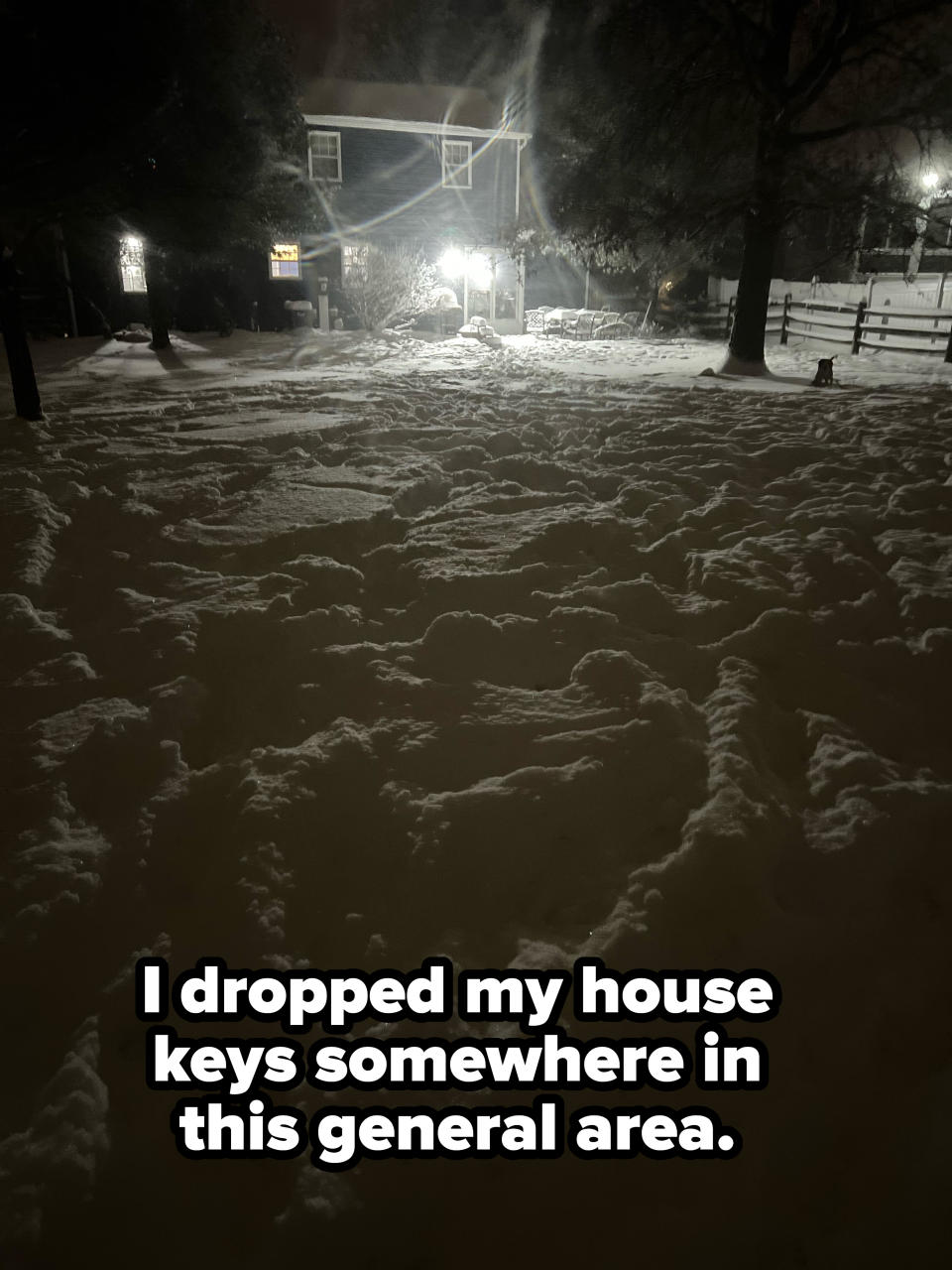 "I dropped my house keys somewhere in this general area," with picture of deep snow in a large front yard