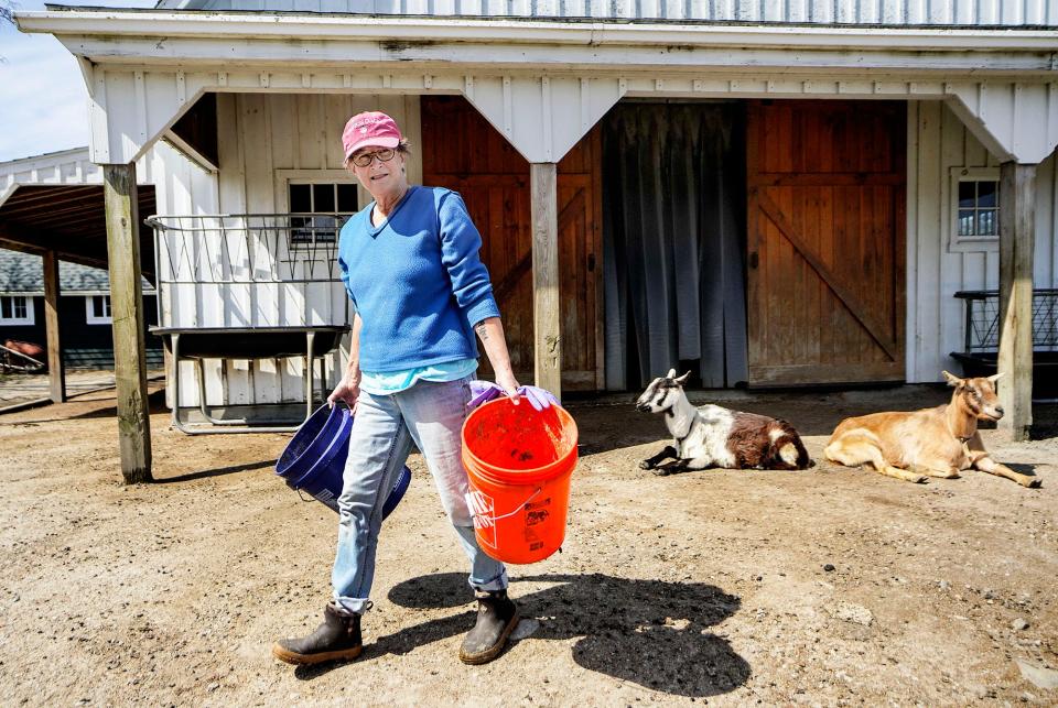 Pam Young, of Providence, cleans up the goats' pen at West Place Animal Sanctuary.