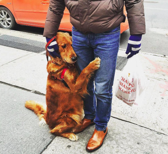 Loubie stops to give complete strangers hugs (Instagram/@louboutinany)