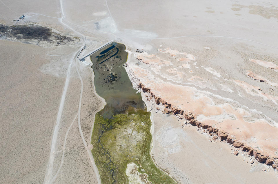 The Trapiche River's flow is interrupted by a dam built by Livent at the Hombre Muerto salt lake.<span class="copyright">Sebastián López Brach for TIME</span>