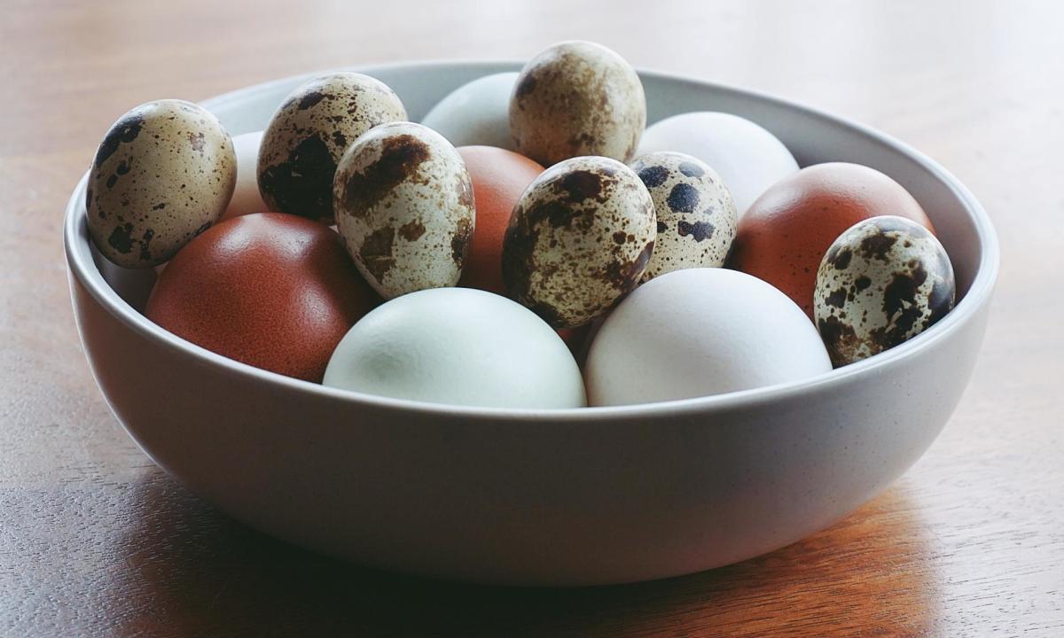 Which “egg” is the best? Nutritionist reveals that “it” has the highest protein content