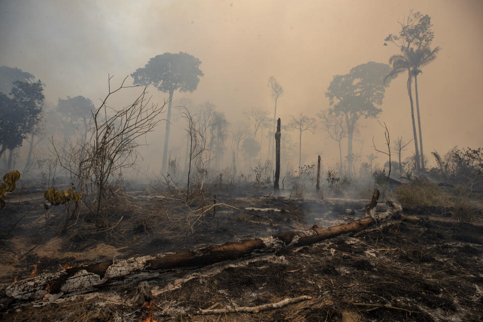 Fire consumes land deforested by cattle farmers in Para state, Brazil, on Aug. 23, 2020.  (Photo: AP Photo/Andre Penner)