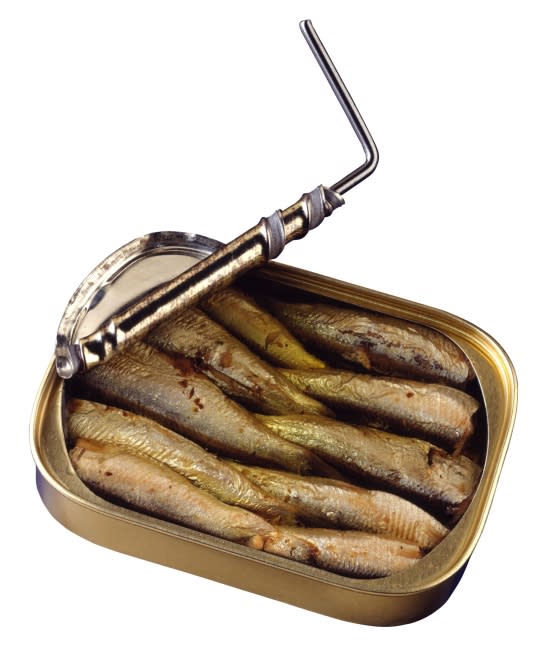 Sardines