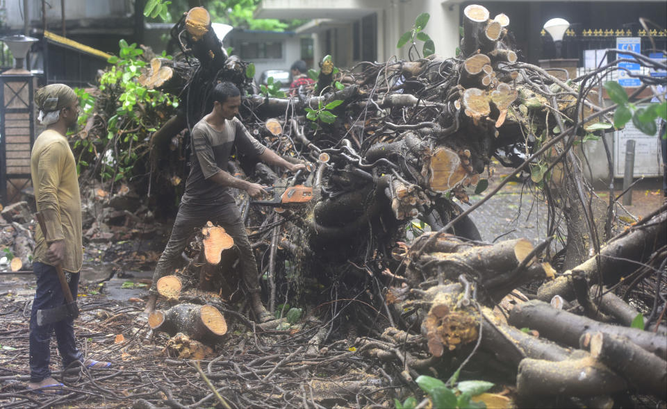 BMC workers clearing the tree fallen due to to gusty winds, after Nisarg Cyclone hits coastal line at Marine Lines on June 3, 2020 in Mumbai, India. Alibaug witnessed wind speeds of up to 120 kilometres per hour. Although the cyclone made the landfall just 95 kilometres from Mumbai, the Maharashtra capital largely escaped its wrath. (Photo by Anshuman Poyrekar/Hindustan Times via Getty Images)