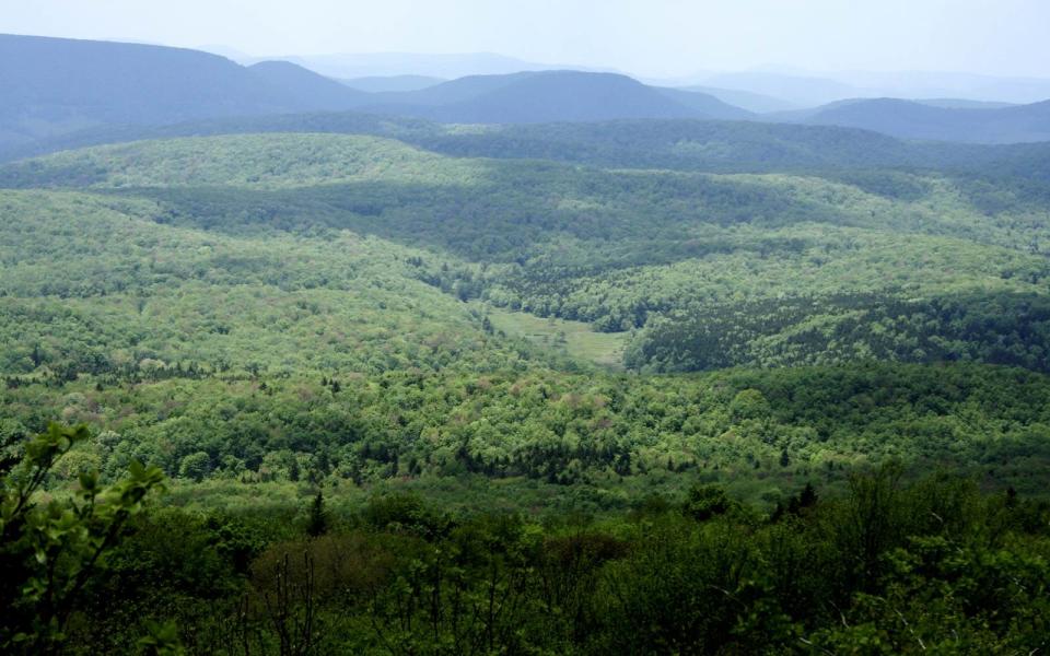 West Virginia — Thorny Mountain Fire Tower, Seneca State Forest