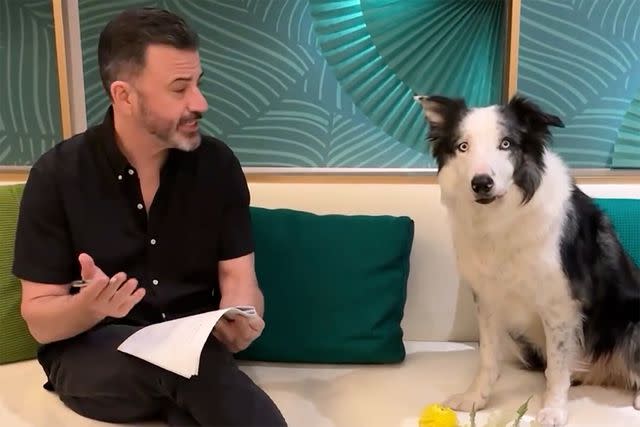 <p>Jimmy Kimmel / Instagram</p> Jimmy Kimmel and Messi the dog.