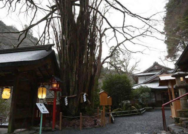 京都貴船神社四季好風景，祭拜水神的美麗神社及結緣聖地