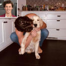 <p>The Canadian heartthrob shared a cuddly photo with <a href="https://people.com/pets/shawn-mendes-camila-cabello-introduce-dog-tarzan/" rel="nofollow noopener" target="_blank" data-ylk="slk:his puppy Tarzan;elm:context_link;itc:0;sec:content-canvas" class="link ">his puppy Tarzan</a>, whom he shares with girlfriend Camila Cabello. "The sweetest boy!!!!" <a href="https://www.instagram.com/p/CMQD5F_HSxT/" rel="nofollow noopener" target="_blank" data-ylk="slk:he wrote;elm:context_link;itc:0;sec:content-canvas" class="link ">he wrote</a>.</p>