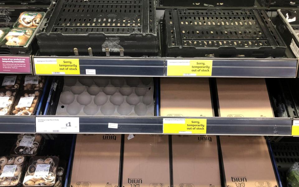 Empty food shelves at a Sainsbury's store in Bangor, County Down - Michael McHugh/PA Wire