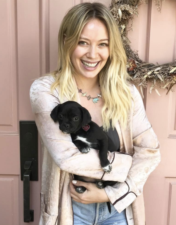 Hilary Duff and her new dog