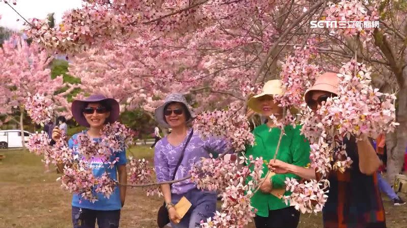 夢幻花海吸引民眾拍照。