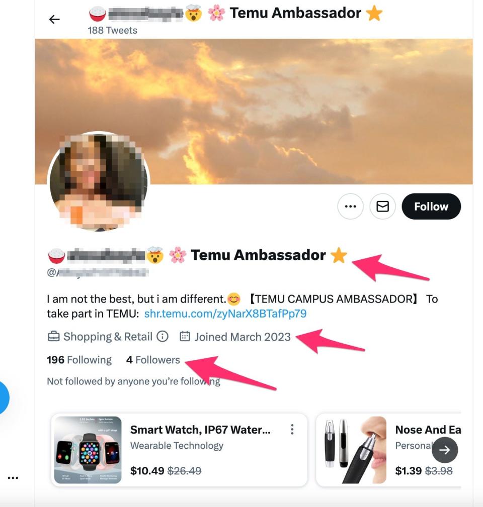 Temu ambassador example Twitter profile