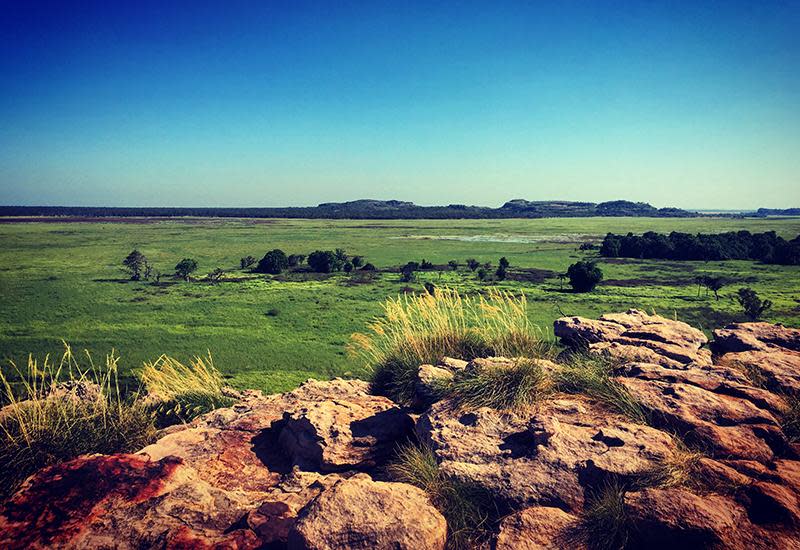 <p>It may not be as well known as Kakadu, but many Territory locals rate Litchfield even higher. The 1500-sq-km national park encloses much of the spectacular Tabletop Range - a wide sandstone plateau mostly surrounded by cliffs - and it’s one of the best places in the Top End for swimming, with waterfalls plunging into gorgeous, crystal-clear cascades and croc-free plunge pools.<br><br><br>AAT Kings runs guided excursions to Litchfield, which cover both bushwalking and a multiple swimming opportunities in the plunge pools of Florence, Tolmer and Wangi Falls, alongside sights such as the giant termite mounds.</p>