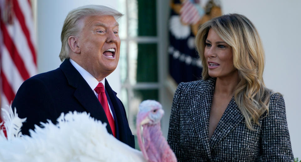 Donald and Melania Trump pictured with pardoned Corn, the national Thanksgiving turkey. 