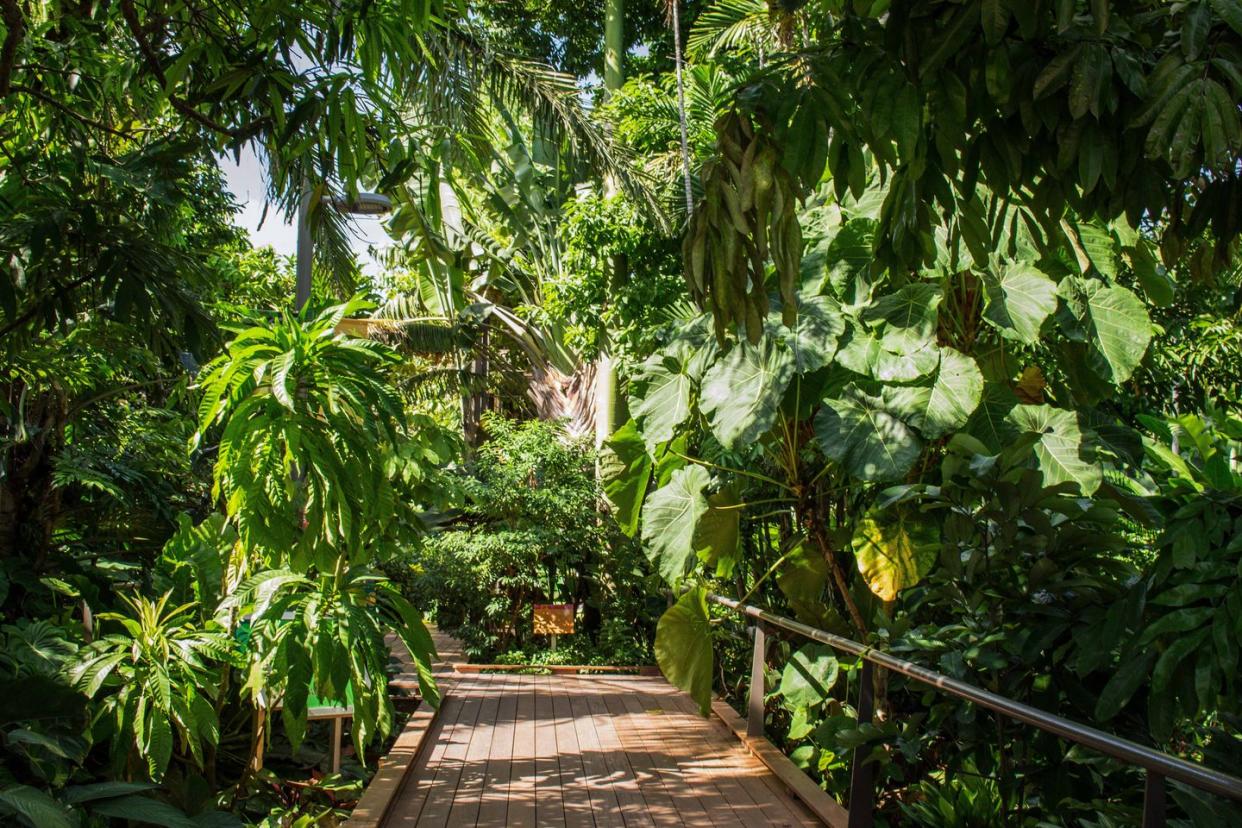 best florida gardens naples botanical garden veranda