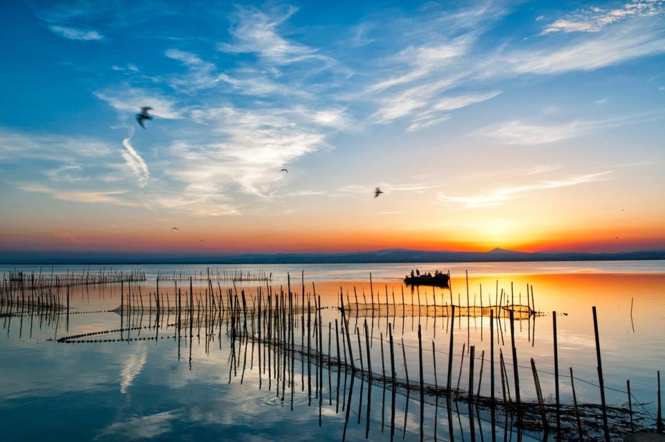 Albufera is one of the most important wetland areas in SpainGetty/iStock