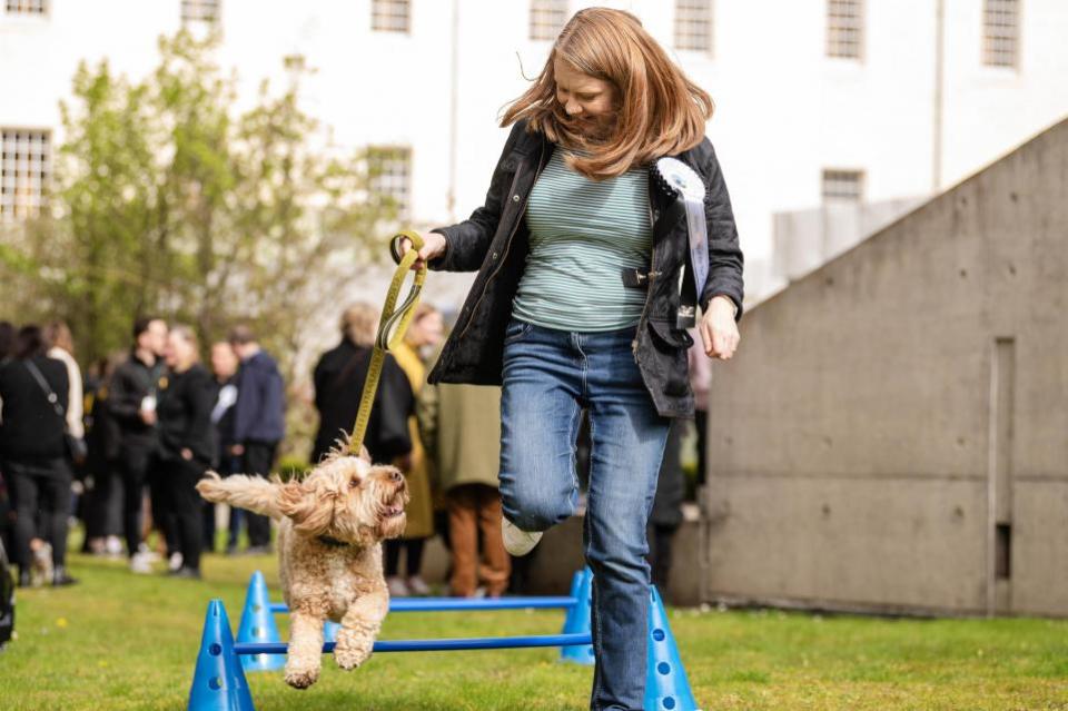 The National: Shirley-Anne Somerville's cockapoo Oscar won the paw-blic vote