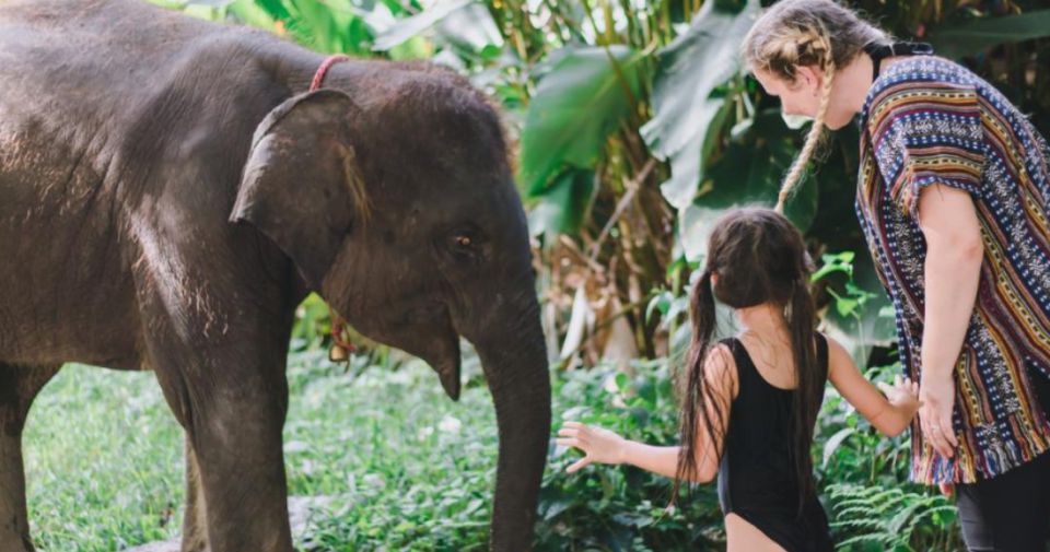 泰國清邁大象體驗營1日遊$154起/位！與大象泥漿浴、沖涼、互動餵食｜666購物節