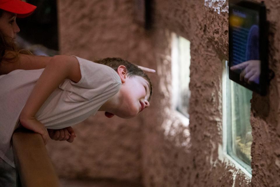 Eleanor Calhoun, 10, and her brother George Calhoun, 7, look in at a snake in an exhibit within the herpetarium at Memphis Zoo in Memphis, Tenn., on Thursday, June 6, 2024.