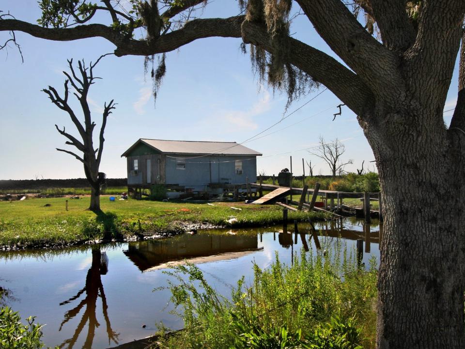The home of Keith Brunet is surrounded by dead and dying trees due to salt water intrusion.