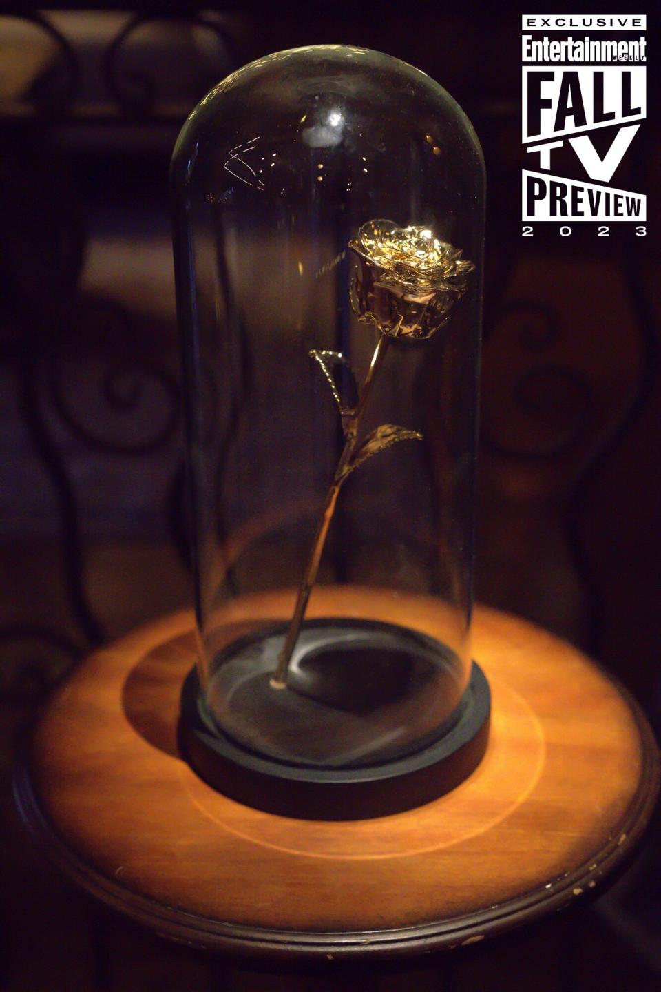 The mysterious gold rose on display at the 'Golden Bachelor' mansion