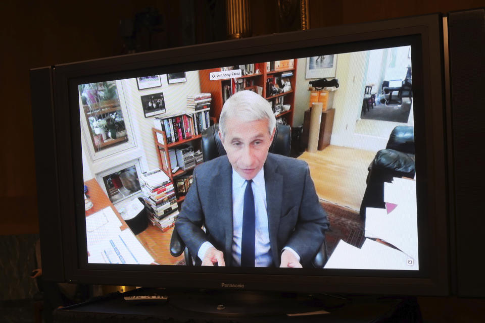 Dr. Anthony Fauci, director of the National Institute of Allergy and Infectious Diseases speaks remotely during a virtual Senate Committee for Health, Education, Labor, and Pensions hearing, Tuesday, May 12, 2020 on Capitol Hill in Washington. (Win McNamee/Pool via AP)