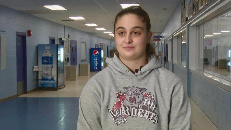 Ariella Merlino, the goalie for the Windsor Southwest Wildcats U22 team, said she has been dreaming about a professional women's league coming to fruition.  