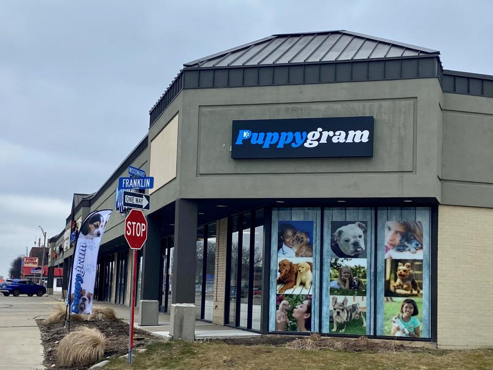 Puppygram, a new pet store off Woodward Avenue in Berkley, is facing criticism and a potential ordinance ban.