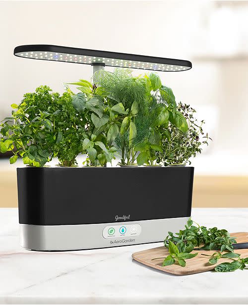 Goodful by AeroGarden Harvest Slim Countertop Garden (Photo: Macy’s)