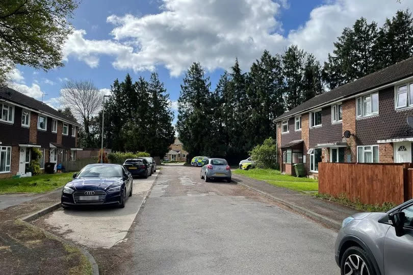 View of the street, with police vehicles at the scene